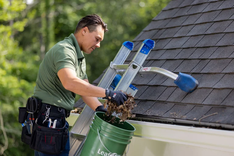 Gutter Cleaning