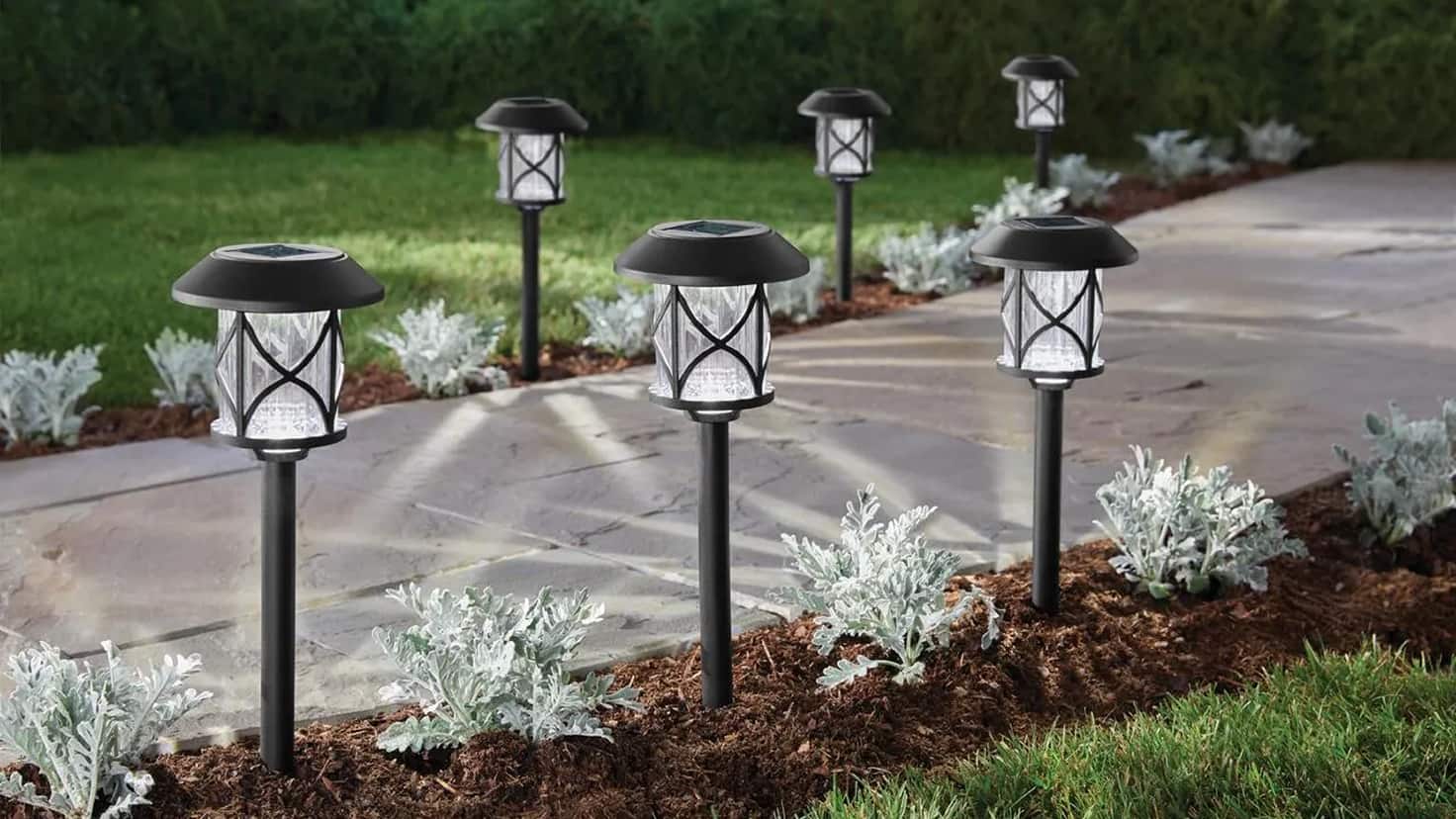 Landscape Lighting Installation